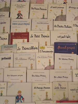qui rencontre le petit prince